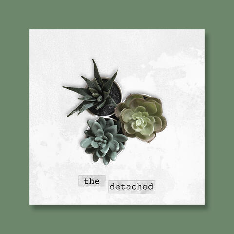 The Detached - Album Cover Concept (from DIAMOND PEAK)